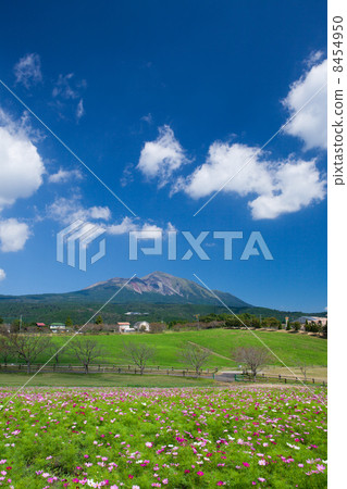 高千穗牧場在秋天 高千穗牧場在秋天 8454950