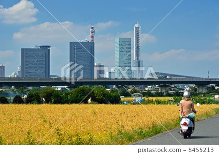 Mine Numata Field·Autumn Kamiyamaguchi Shinda和Saitama Shintoshin Central Area 8455213