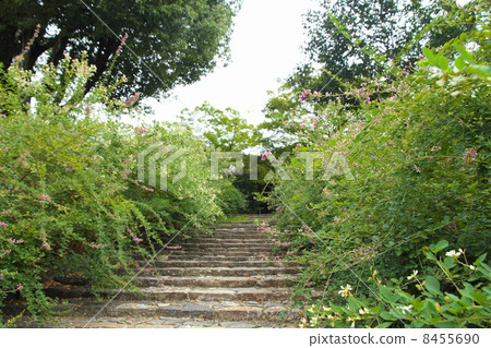 Hagi no Hana Shirakuji Hagi no Hana Shirakuji 8455690