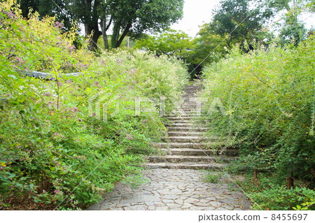 Hagi no Hana Shirakuji 8455697