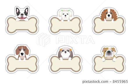 Dog / Nameplate 8455965