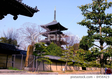 Toji 8456423