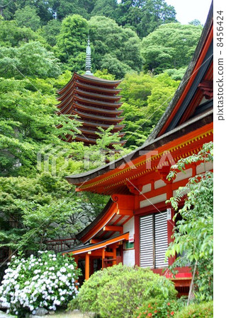 津山神社 8456424