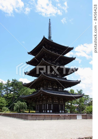 興福寺 8456428