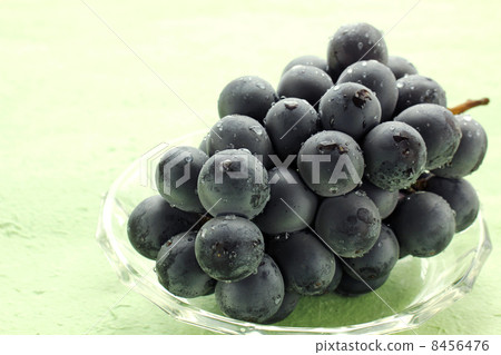 Grape · Giant Peak 02 8456476