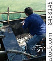 釣魚 8458145