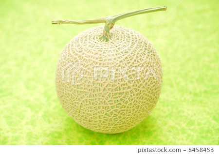 面膜甜瓜(靜岡縣岩田市的皇冠瓜)。 面膜甜瓜(靜岡縣岩田市的皇冠瓜)。 8458453