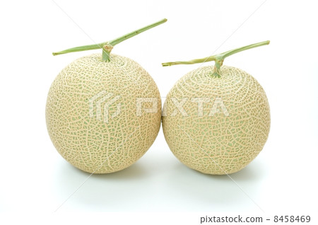 Mask melon (Crown melon from Iwata City, Shizuoka prefecture). 8458469