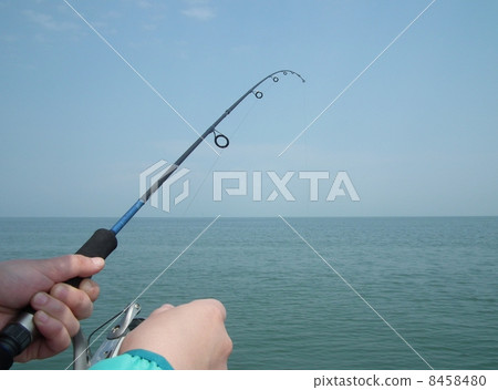 Sea fishing (female hands and horizontal lines) 8458480
