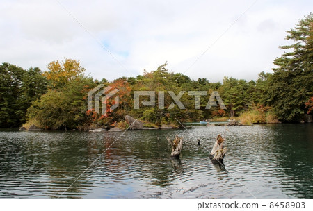 Bishamon Swamp of Goshikinuma 8458903