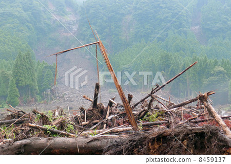 Mudslide Mudslide 8459137