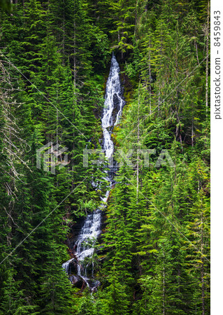 Waterfall Waterfall 8459843