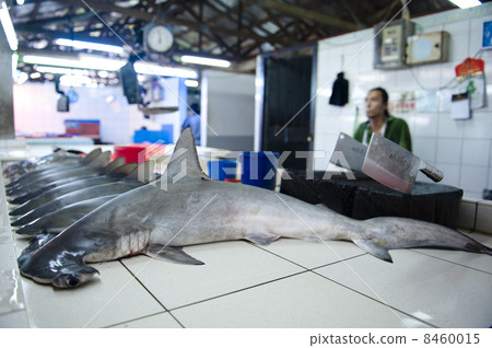 Effiel Tower 8460015