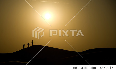 Effiel Tower Effiel Tower 8460016