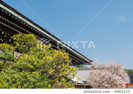Kyoto Imperial Palace 8460133