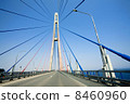 cable-stayed bridge to Russian Island. Vladivostok. Russia. 8460960