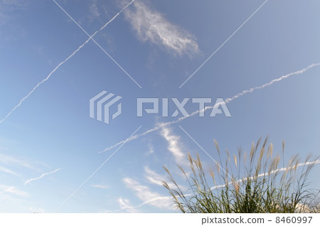 Contrail Contrail 8460997