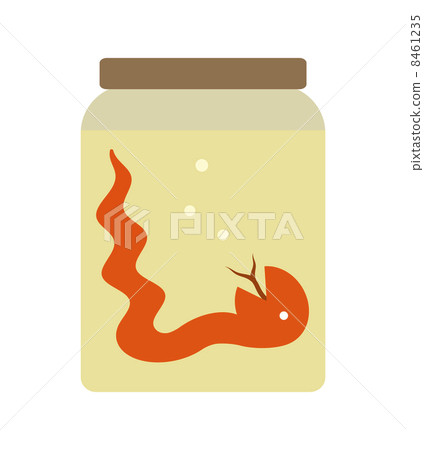 Pickled snakes in formalin Pickled snakes in formalin 8461235