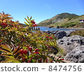 Hakuba Ooike. Hakuba Ooike. 8474756