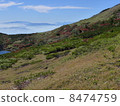 Hakuba Ooike. Hakuba Ooike. 8474759
