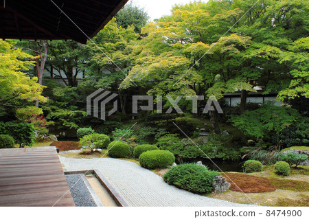 京都Itsukuchiji花園 京都Itsukuchiji花園 8474900