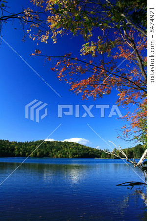 Lake autumn leaves 2 8474921