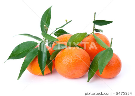 Some fresh mandarines with leaves Some fresh mandarines with leaves 8475534