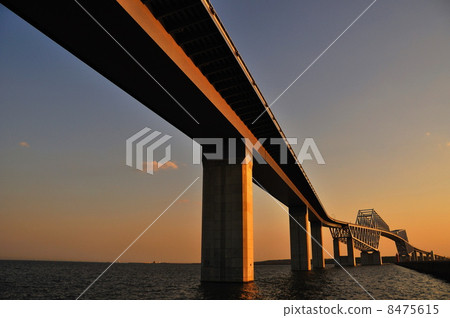 東京大橋 8475615