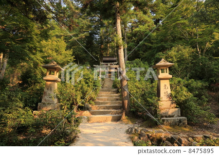 Torii gardens of Mori Ayadani Park (Meiko, light shining) 8475895