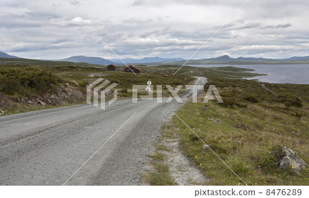 Road Jotunheimvegen (Jotunheimen National Park, Norway) 8476289