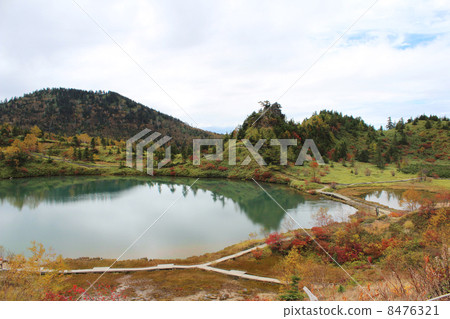 白蘭山的軍械庫池塘 8476321