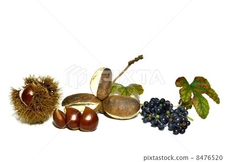 Fruit of autumn 8476520