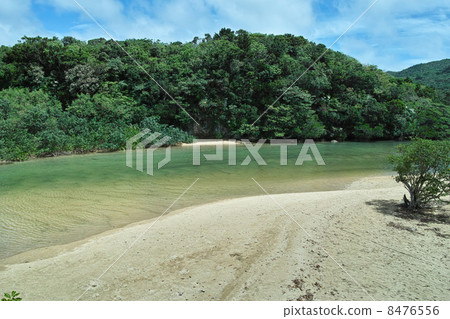 Hirugi社區 8476556