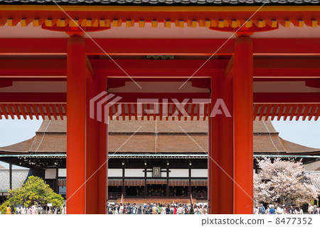 京都御所 8477352