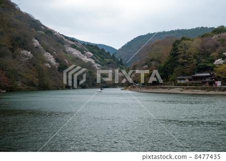 Sagano Arashiyama Sagano Arashiyama 8477435