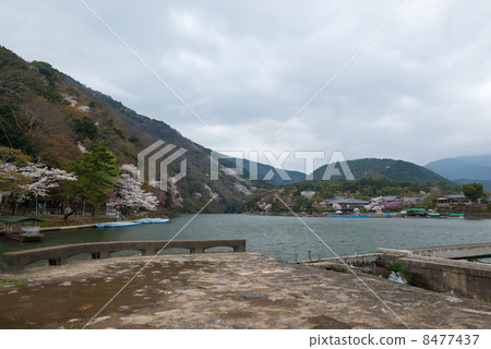 Sagano Arashiyama Sagano Arashiyama 8477437