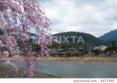 Arashiyama Nakajima Park Arashiyama Nakajima Park 8477446
