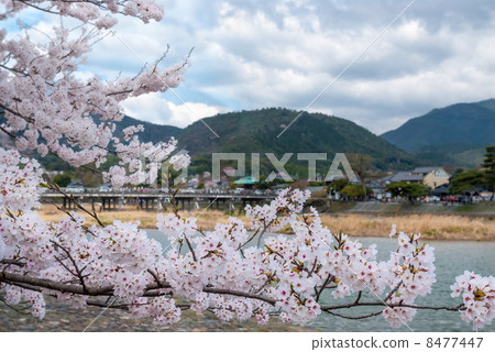 Arashiyama Nakajima Park 8477447