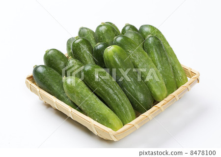 Mini cucumber 8478100