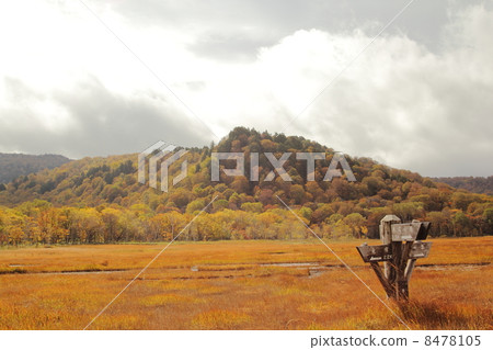 Autumn Ozegahara Autumn Ozegahara 8478105