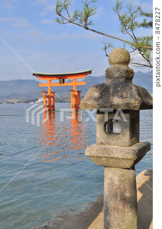 Aki的宮島和石燈籠 8478227