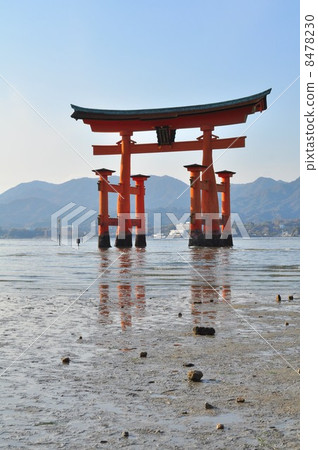 Toriijima Shrine torii在退潮時 8478230