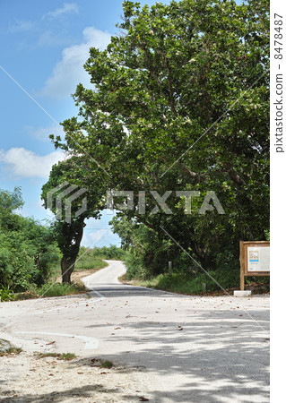 Taketomijima Kaiji Beach 8478487