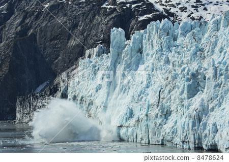 Glacier calving frozen glacial ice into ocean Alaska 8478624