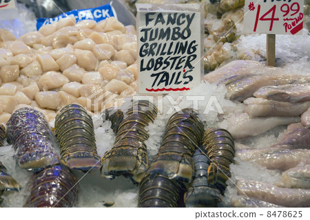 Fresh fancy jumbo lobster tails on ice 8478625