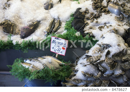 Fresh seafood oyster fish on ice Farmers Market 8478627