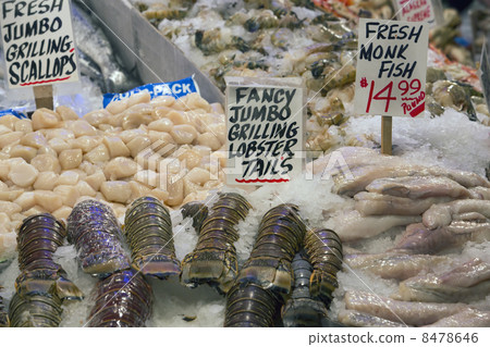 Fresh lobster tail seafood Monk Fish on ice 8478646