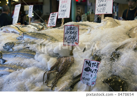 Fresh fish seafood on ice farmers market Seattle 8478654