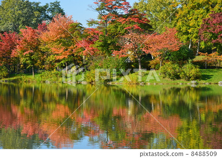 Autumn of Sapporo Nakajimakoen 8488509