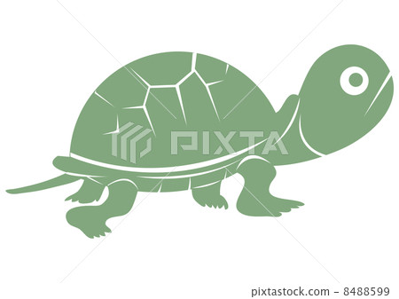 Turtle - Green 8488599